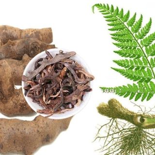 Cốt Toái Bổ