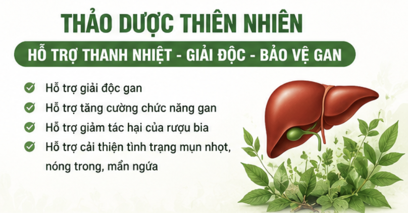 Thảo dược thiên nhiên hỗ trợ thanh nhiệt, bảo vệ gan