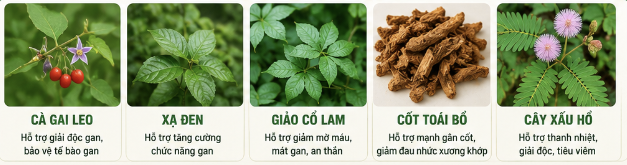 Trước: mệt mỏi, kém sắc → Sau: nhẹ nhõm, tươi tắn