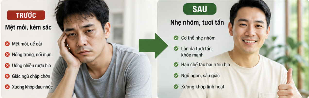 Cà gai leo, Xạ đen, Giảo cổ lam, Cốt toái bổ, Cây xấu hổ